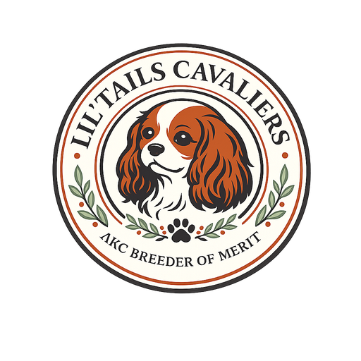 Lil'Tails Cavaliers